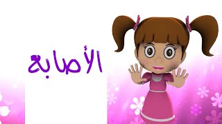 الأصابع - طيور بيبي Toyor Baby