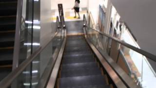 HAPPY ESCALATOR MONDAY! イトーヨカドー 東芝エスカレーター TOSHIBA Escalators/l'escalator（動画）