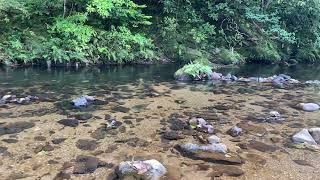 沖縄の比地大滝の入口の近くにある川。