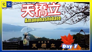 日本11天秋意自由行 | 第七天 | 天橋立 | 徒步跨過沙洲對岸 | 在郵輪上餵海鷗 | 傘鬆公園 | 飛龍觀