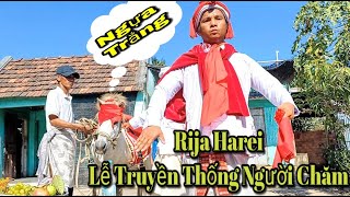 Lễ Rija Harei Trong Văn Hóa Tín Ngưỡng Dân Gian Truyền Thống Người Chăm Làng Hữu Đức