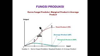 Teori Perilaku Produsen, Fungsi Produksi, dan The Law of Diminishing Return