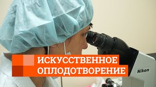 Репортаж из лаборатории, где врачи выращивают эмбрионы | E1.RU