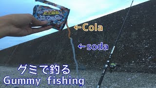 グミで釣る Gummy fishing