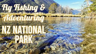 Unbelievable Alpine River + Catching a Giant Brown Trout - NZ Fly Fishing at it's BEST