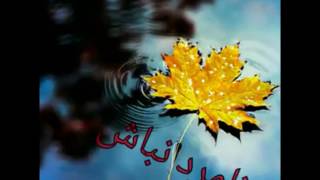 bahram parnian چند توصیه