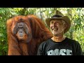 Nyaru Menteng Orangutan Sanctuary - Volunteer Reviews