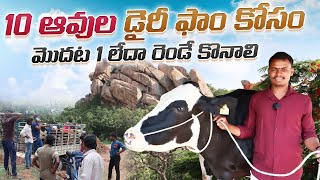 best quality cows/dairy farm cows/ 10 ఆవుల డైరీ కోసం,మొదట 1 లేదా 2 కొనాలి