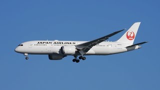 日本航空 JAL 新造機 Boeing 787-8 Dreamliner 国内線運航羽田空港到着光景 / 2019年12月28日(土)  午後2時5分～6分