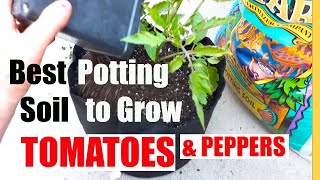 Best POTTING SOIL to Grow TOMATOES \u0026 PEPPERS // Plus Fertilizers and Container planting tips!