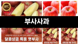 부사사과   추천 24년 연말인기상품   BEST 3  연말 인기상품  3  ㅣ추천템ㅣ생활 꿀템ㅣ