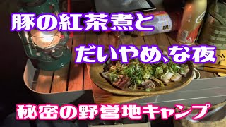 【野営地キャンプ】ライチの香りの焼酎に酔う秋のキャンプ。＃野営＃だいやめ＃WAQ Alpha TC