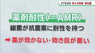 Ｇ７サミットで議論予定　薬剤耐性とは　東北医科薬科大学藤村茂教授