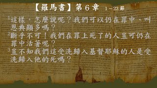 羅馬書006【有聲聖經】新標點和合本女聲朗讀(無廣告)