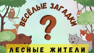 Лесные жители. Весёлые загадки + видео с реальными животными. Лучшая развивающая игра для детей.