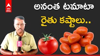 Ground report: Rising Tomato prices Anantapur| రైతుల పరిస్థితి పై రిపోర్ట్. | ABP Desam