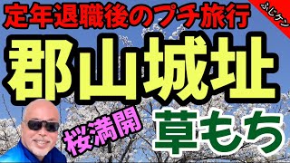 【郡山城跡】奈良県郡山市／お城祭り／桜／金魚の生産が日本一