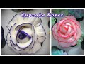 Buttercream rose cupcake tutorial with a color stripe