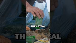 Police are Stealing Your Trash to Use for DNA Testing!? 🗑️👮‍♂️🧬