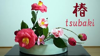 【生け花】Ikebana using only camellia【ikebana】池畔仅使用山茶花/Икебана, используя только камелию/数種類の椿を使って  꽃꽂이