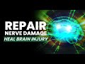 Recover From Traumatic Brain Injury | Repair Nerve Damage | Restore Nerve Connections | 528 Hz