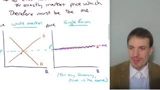 Marginal Revenue for a Competitive Firm