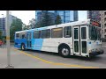 the final ride yrt ~ 2003 orion v 05.501 309 ~ bus ride on route 300 business express westbound