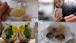 [vlog] 30대 직장인 집순이 브이로그, 채널명 소금빵 쿠키 만들기, 열탄불고기 말고 열탄 쿠키, 치아바타 샌드위치, 일상, 바게트, 라꽁비에뜨, 먹방 브이로그