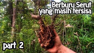 [VLOG] Berburu sisa serut, part 2