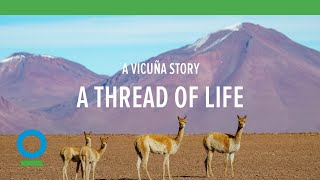 Thread of Life: A Win-Win for People and Nature