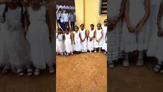 puthur pallikkal A.M.U.P School (2)