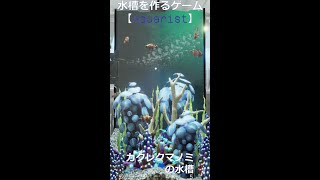 カクレクマノミの水槽【Aquarist】デザイナーモード#5 #short