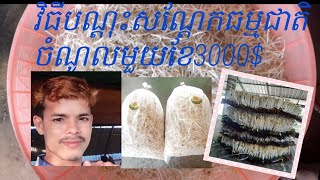 វិធីបណ្ដុះសណ្ដែកធម្មជាតិ ជំហានទី 1 ព័ត៌មានបន្ថែមទាក់ទងតាមផេក page.BRKN