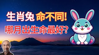 屬兔人，你是幾月出生？生肖命理說：不同月不同命！快看看你是什麼命！ #生肖兔2024年運勢 #生肖兔2024年運程 #屬兔人2024年運程 #屬兔人2024年運勢