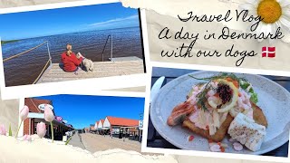 Travelvlog: A day in Denmark 🇩🇰 with our dogs 🐾 Bork Havn, Nymindegab, Henne Strand \u0026 Blåvand.