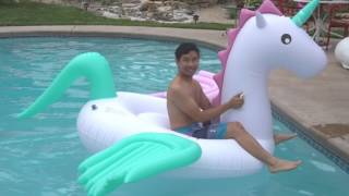 FunFloaty Winged Unicorn Pool Float Review