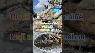 🦋🪬musicrelax/vodopád/krátka meditace/a real waterfall from a Czech garden 🦋🌼🌻🏵🦋očištěni  duše🐣🦋🐝🌼🌻🔮