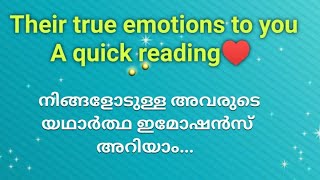 ♦️✨നിങ്ങളോടുള്ള അവരുടെ യഥാർത്ഥ ഇമോഷൻസ് അറിയാം 🌹 A quick reading