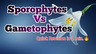 Different between sporophytes and Gametophytes|What is sporophytes and Gametophytes|