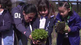 Little Sprouts Kitchen Garden Learning Program – an inspiring STEM experience