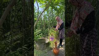 Life in the Countryside: How We Fetch Water from the Well #nomadic #rurallife