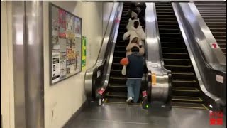 【三菱】2Xエスカレーター ポートライナー三宮駅 2X escalator Sannomiya station Port Liner Kobe Japan