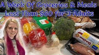 We Spent Less than $60 on Groceries This Week! • Realistic Budget Cooking & Meal Ideas