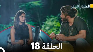 مسلسل الطائر المبكر الحلقة 18 (Arabic Dubbed) - FULL HD