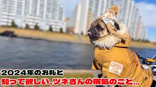 【感動パグ動画】今年のお礼と、ツネさんの病気についてお伝え致します