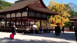 Shimogamo Shrine (下鴨神社）, Kyoto City, Japan