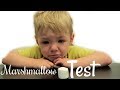 MARSHMALLOW TEST | TODDLER VS. MARSHMALLOW