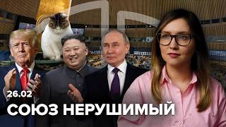 Украина и США договорились о ресурсах | Голосование в ООН: как это было | Кошку Мусю спасли