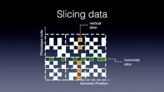 XLDB-2018: Large-Scale Inference Across Genomes and Health Records with the Global Biobank Engine