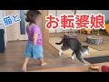 おてんば娘に手を焼く猫兄さんたち。vol.1164